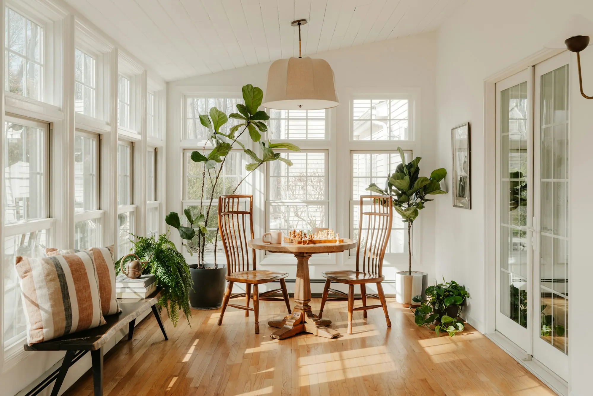 A sunlit sunroom with white-framed windows, a wooden table and fiddle-leaf fig plants
